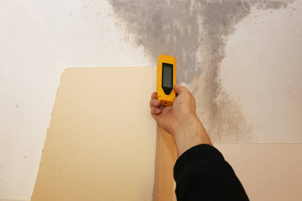 Best Emergency Mold Remediation  in Pinetops, NC